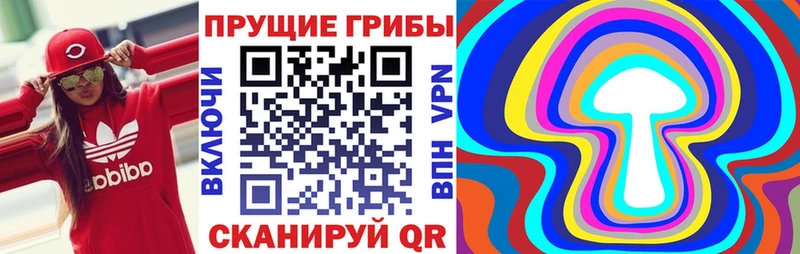 магазин    Губаха  Псилоцибиновые грибы Psilocybe 